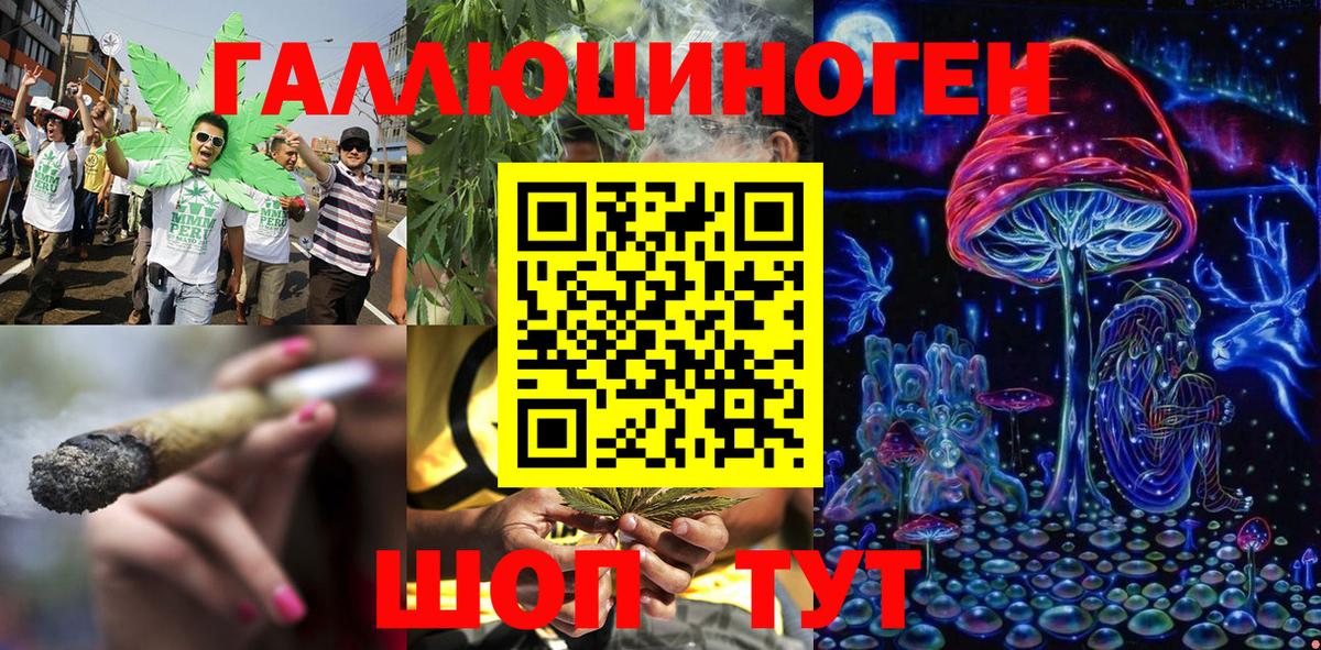 Псилоцибиновые грибы мухоморы Приморско-Ахтарск