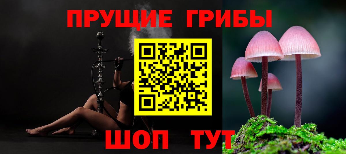 Псилоцибиновые грибы MAGIC MUSHROOMS  Псилоцибиновые грибы Cubensis  Вход с VPN  Приморско-Ахтарск 